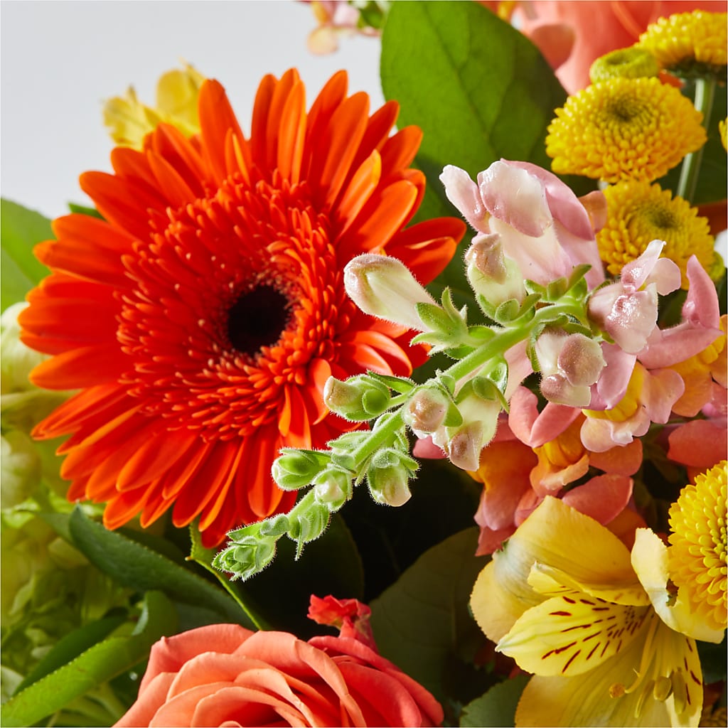 Autumn Sunshine Bouquet – KAREN'S AND TINA'S FLOWERS, Newmarket ON