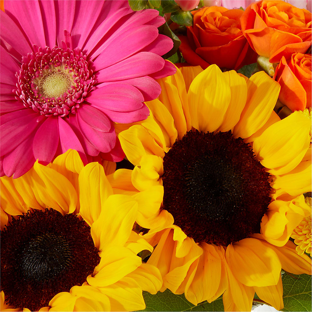 Beach Day Bouquet – KAREN'S AND TINA'S FLOWERS, Newmarket ON