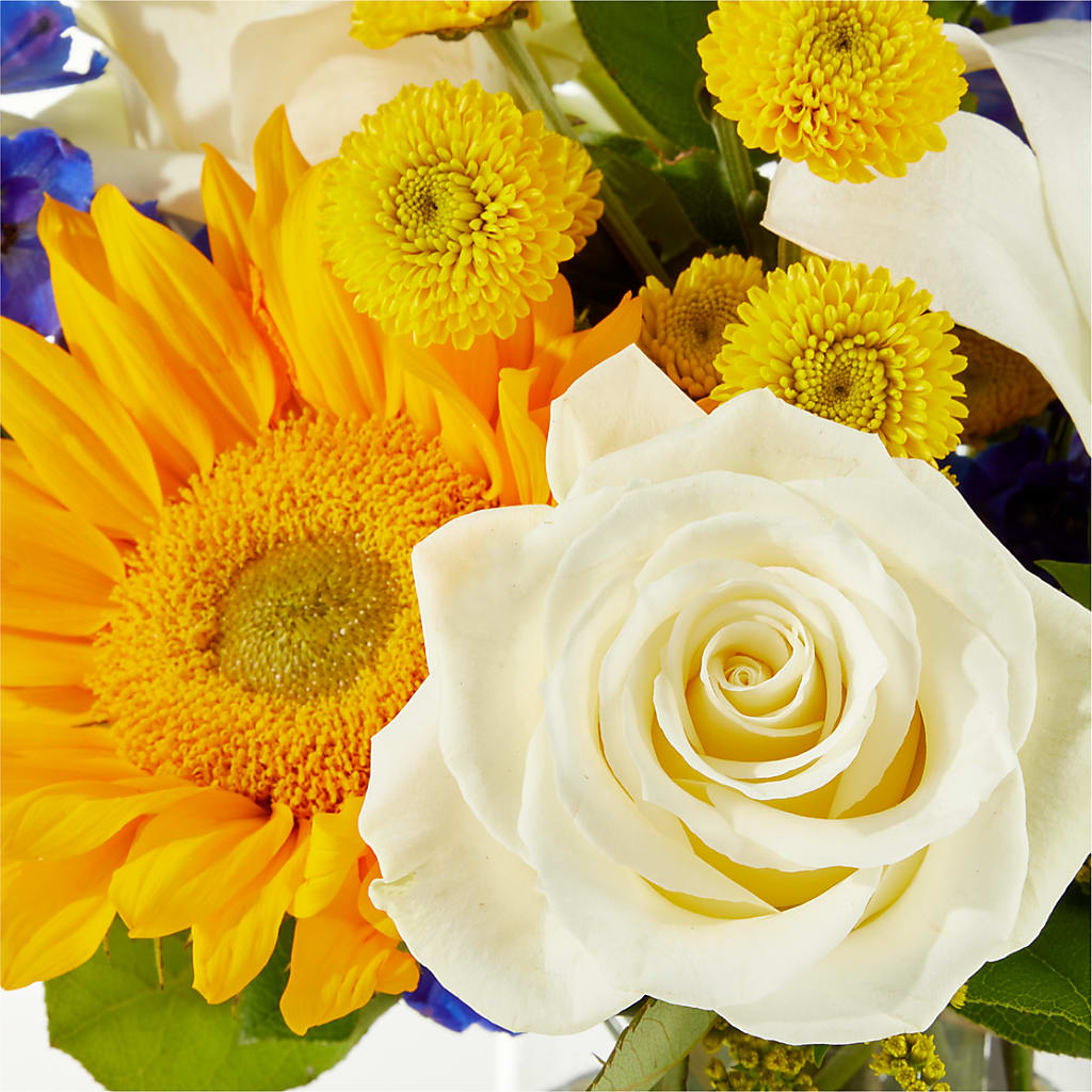 Stargazing Bouquet – KAREN'S AND TINA'S FLOWERS, Newmarket ON