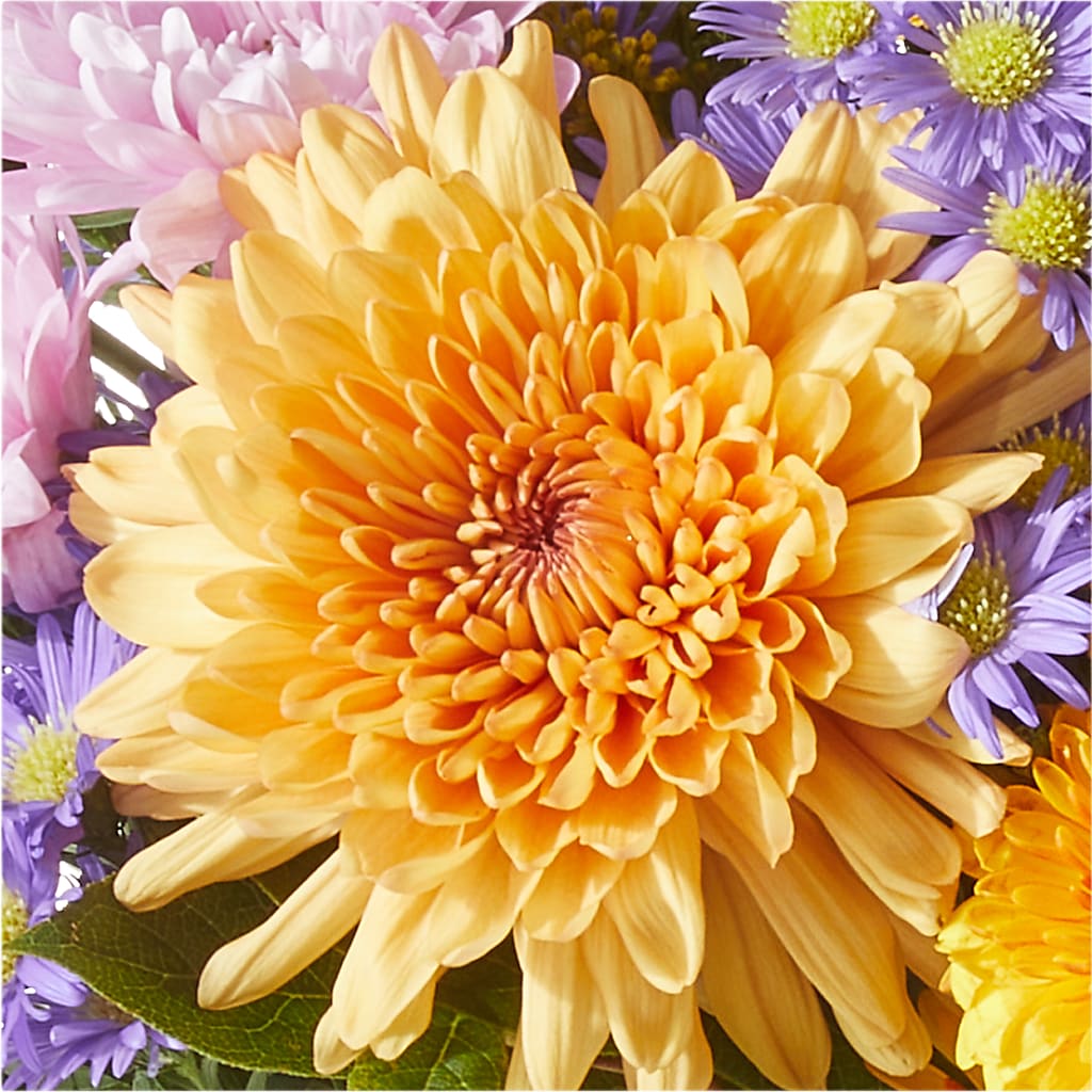 Countryside Bouquet – KAREN'S AND TINA'S FLOWERS, Newmarket ON