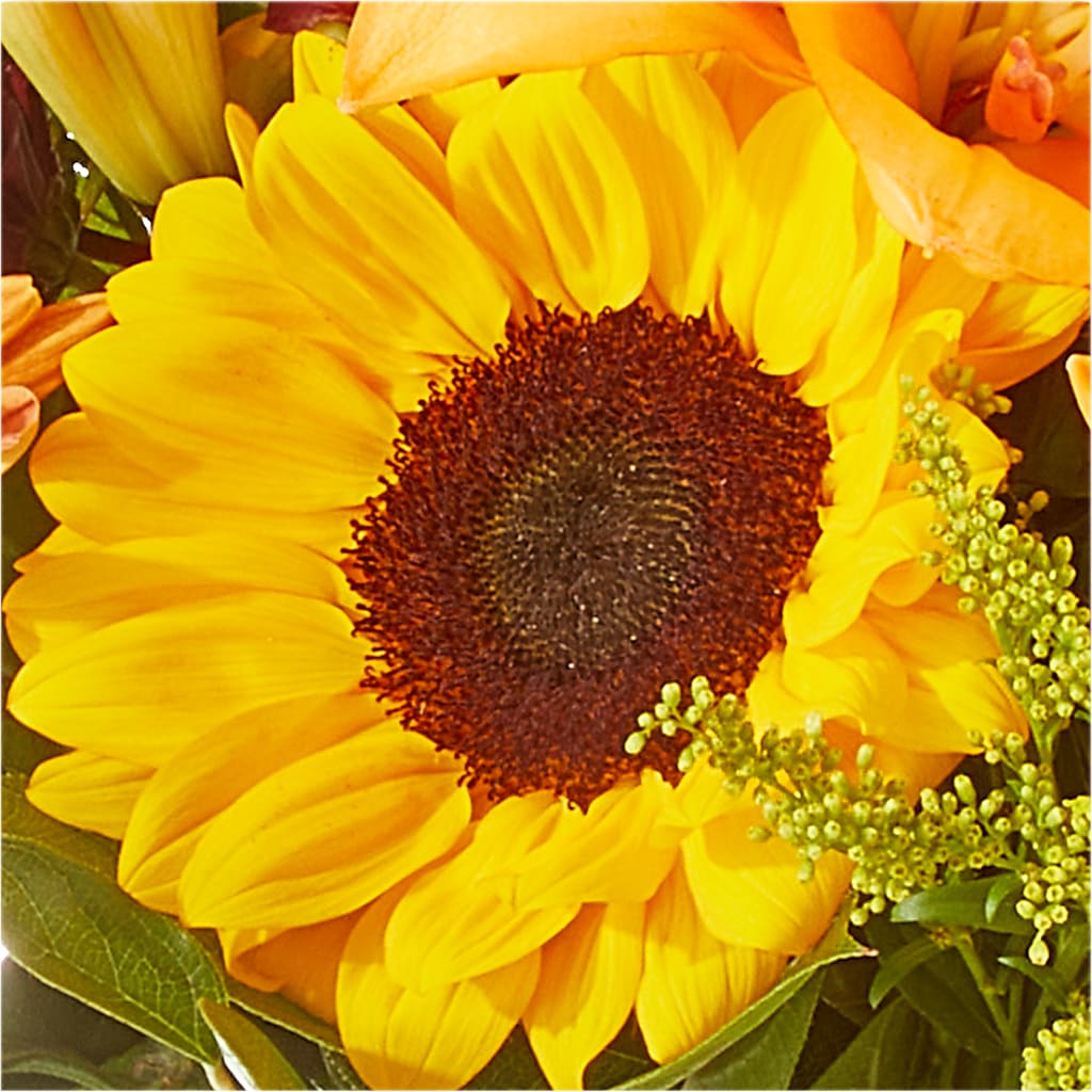 Seasons Change Bouquet – KAREN'S AND TINA'S FLOWERS, Newmarket ON