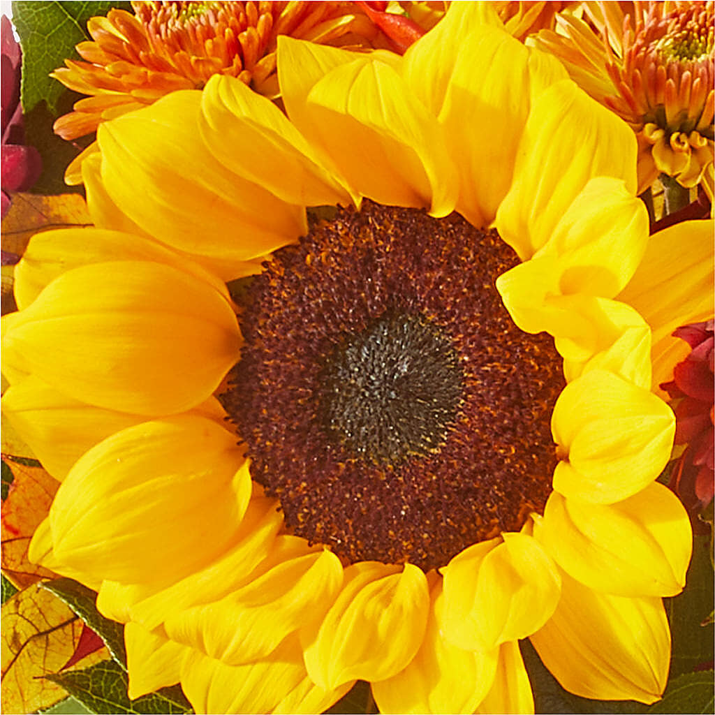 Sunny Side Bouquet – KAREN'S AND TINA'S FLOWERS, Newmarket ON