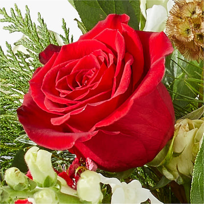 Deck the Halls Bouquet – KAREN'S AND TINA'S FLOWERS, Newmarket ON