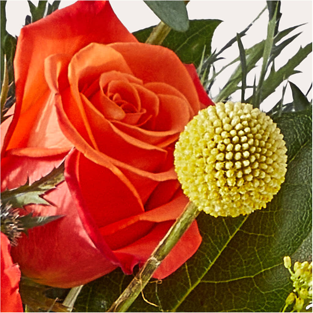 Disco Bouquet – KAREN'S AND TINA'S FLOWERS, Newmarket ON