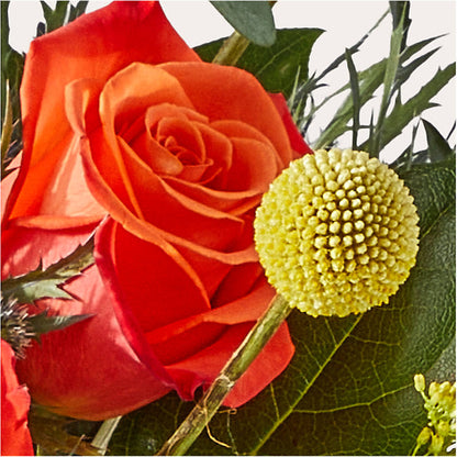 Disco Bouquet – KAREN'S AND TINA'S FLOWERS, Newmarket ON