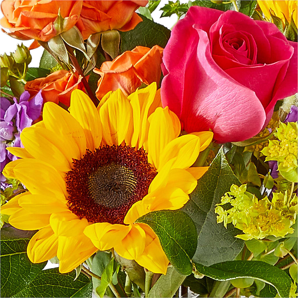 Vibrant Greetings Bouquet – KAREN'S AND TINA'S FLOWERS, Newmarket ON