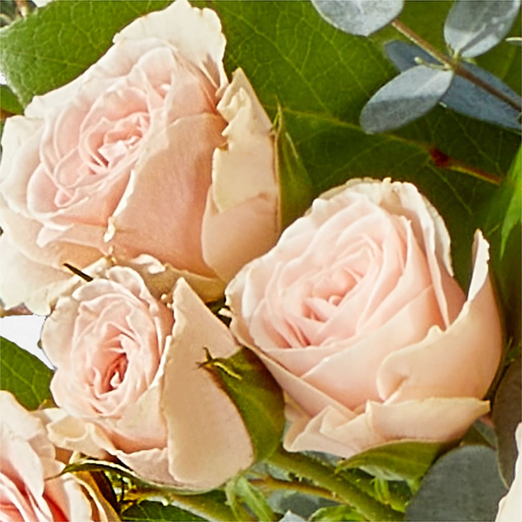 Inspired Bouquet – KAREN'S AND TINA'S FLOWERS, Newmarket ON