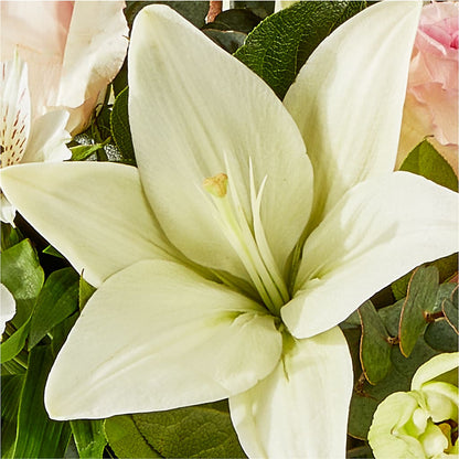 Ballet Slippers Bouquet – KAREN'S AND TINA'S FLOWERS, Newmarket ON