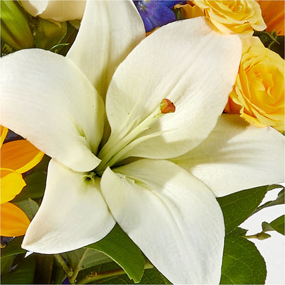 Wonderfully Sunny Bouquet – KAREN'S AND TINA'S FLOWERS, Newmarket ON