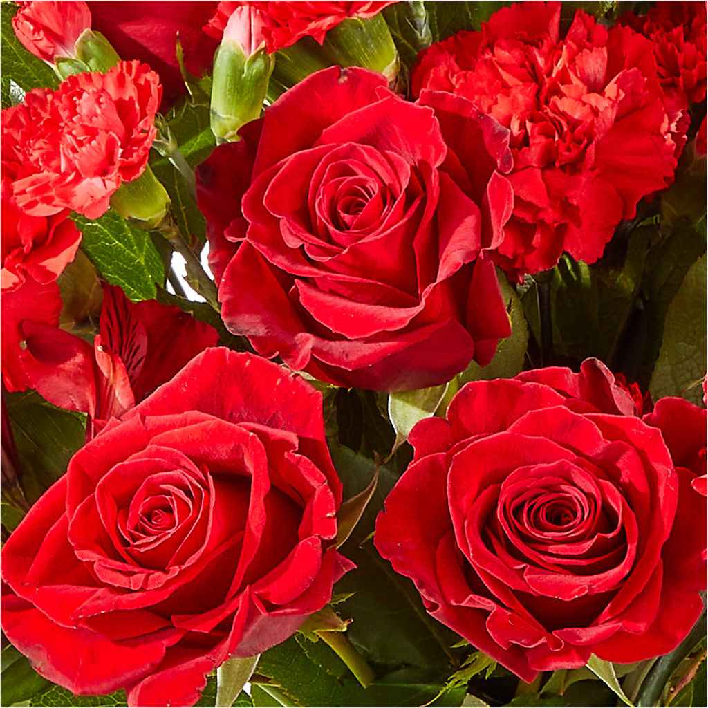 The Heartstrings Bouquet – KAREN'S AND TINA'S FLOWERS, Newmarket ON