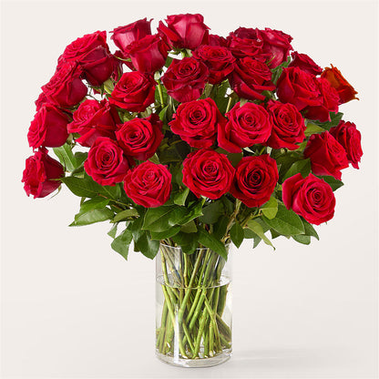 The One Red Rose Bouquet – KAREN'S AND TINA'S FLOWERS, Newmarket ON