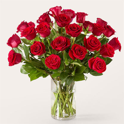 The One Red Rose Bouquet – KAREN'S AND TINA'S FLOWERS, Newmarket ON