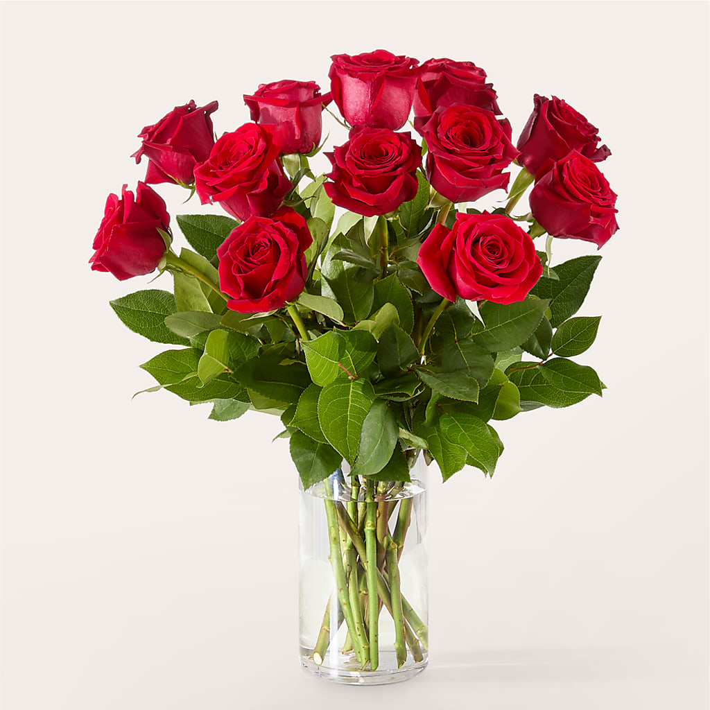 The One Red Rose Bouquet – KAREN'S AND TINA'S FLOWERS, Newmarket ON