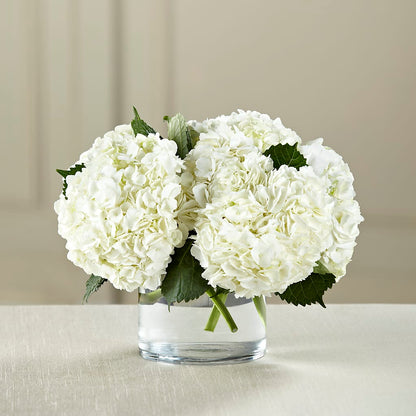 White Hydrangea Bouquet – KAREN'S AND TINA'S FLOWERS, Newmarket ON
